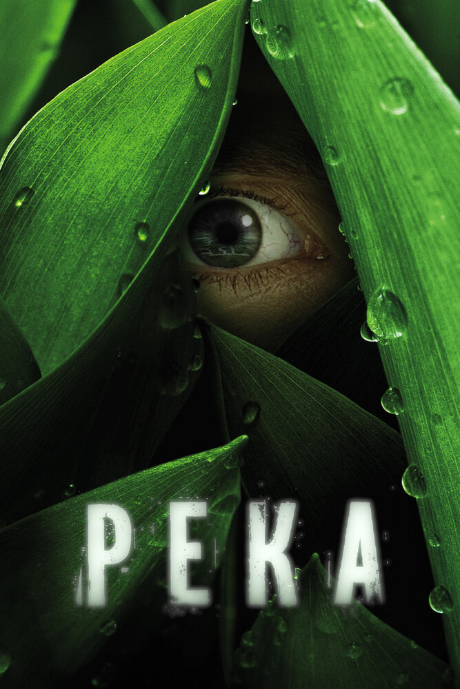 Река (2012)